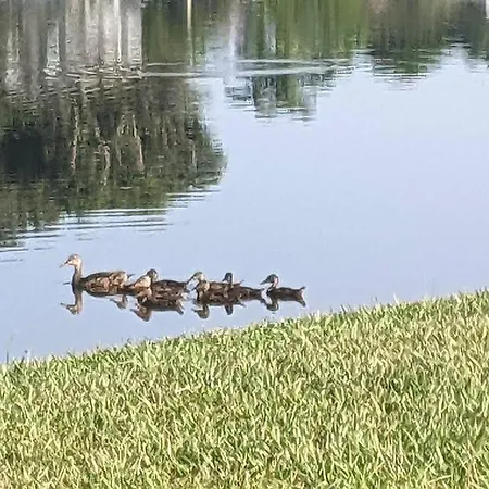 Port Saint Lucie A Little Piece Of Heaven- Peaceful Lake View Apartment- 1 Min From I95 And Turnpike